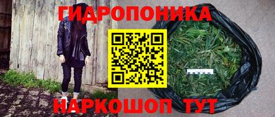 индика Жуковский