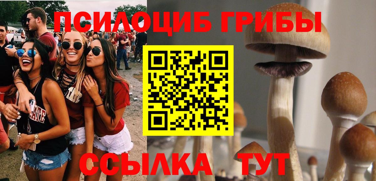 Галлюциногенные грибы мицелий Ликино-Дулёво